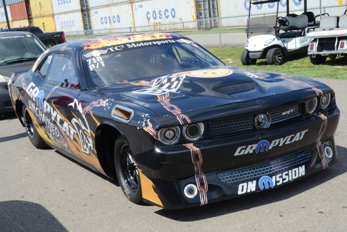 Grumpy Cat Dodge Challenger SRT Hellcat