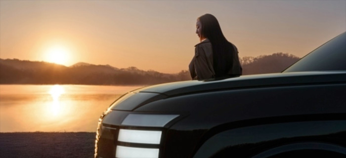 New Hyundai Palisade